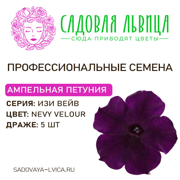 Петуния Изи Вейв Неви Велюр (Easy Wave  Navy Velour) 