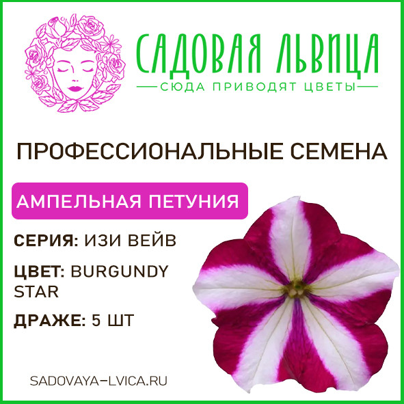 Петуния ИЗИ ВЕЙВ бургунди стар( Easy wave burgundy star) 