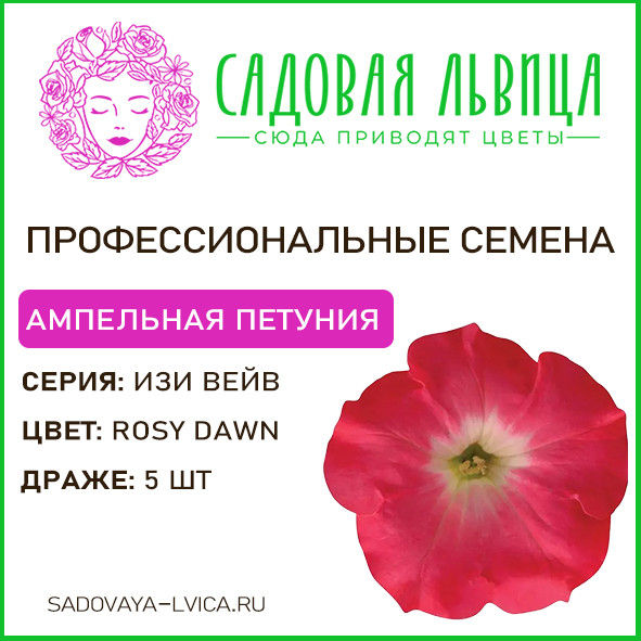 Петуния ИЗИ ВЕЙВ рози даун (Easy wave rosy dawn)