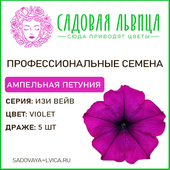 Петуния ИЗИ ВЕЙВ виолет(Easy wave violet)