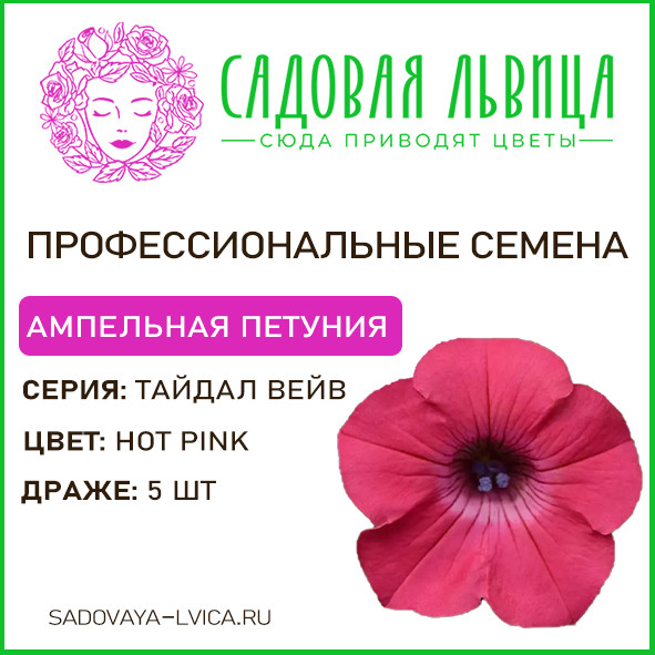 Петуния Тайдал Вейв Хот Пинк (Tidal Hot Pink)