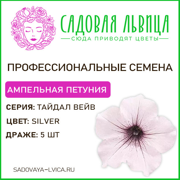 Петуния Тайдал Сильвер( Tidal silver)