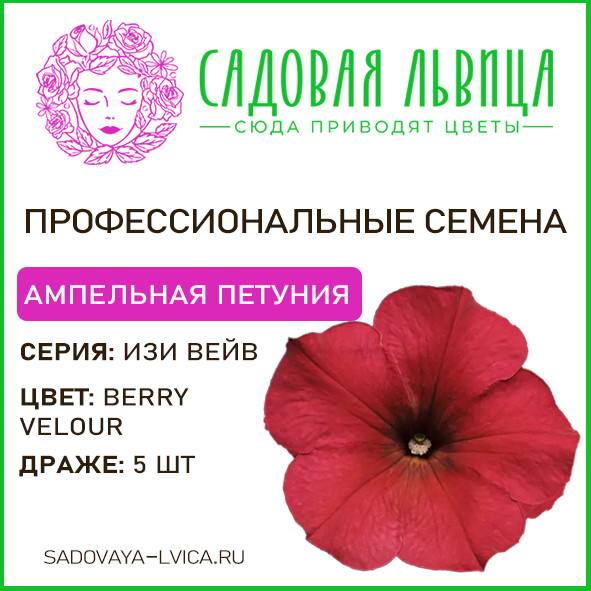 Петуния ИЗИ ВЕЙВ берри велюр (easy wave berry velour)