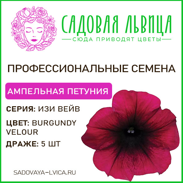 Петуния ИЗИ ВЕЙВ бургунди велюр(easy wave burgundy velour)
