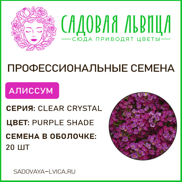 Алиссум клир кристал перпл шайд(clear crystal lavender shade)