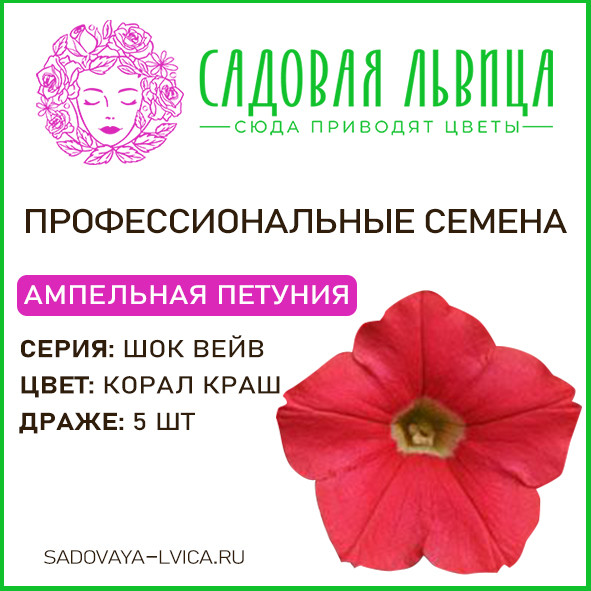 Петуния Шок Вейв Корал Краш(Shock Wave Coral Crush)