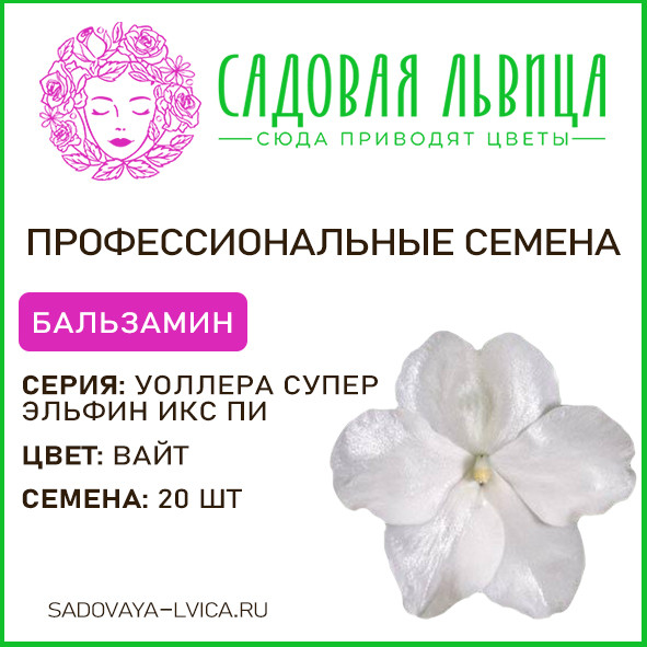 Бальзамин Уоллера Супер Эльфин Вайт(Super Elfin White)